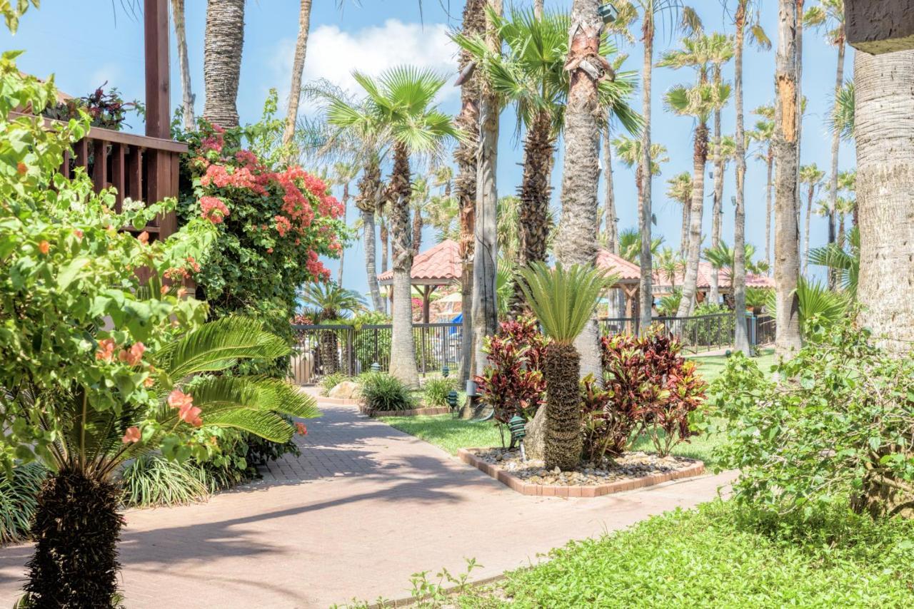 Isla Grand Beach Resort South Padre Island Dış mekan fotoğraf